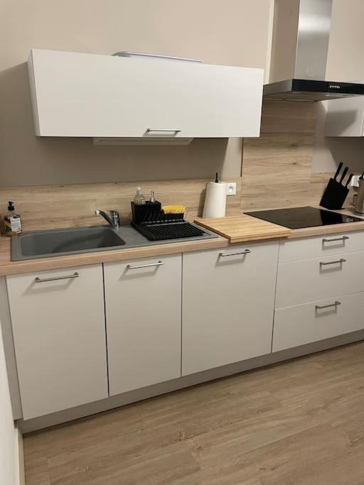 Bel Appartement / Troyes Saint-Parres-aux-Tertres Buitenkant foto